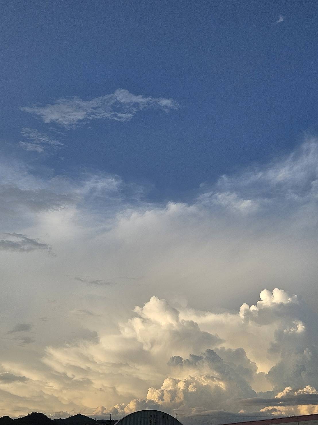 🍄🐒ちぃたけ🐒🍄45🈲 