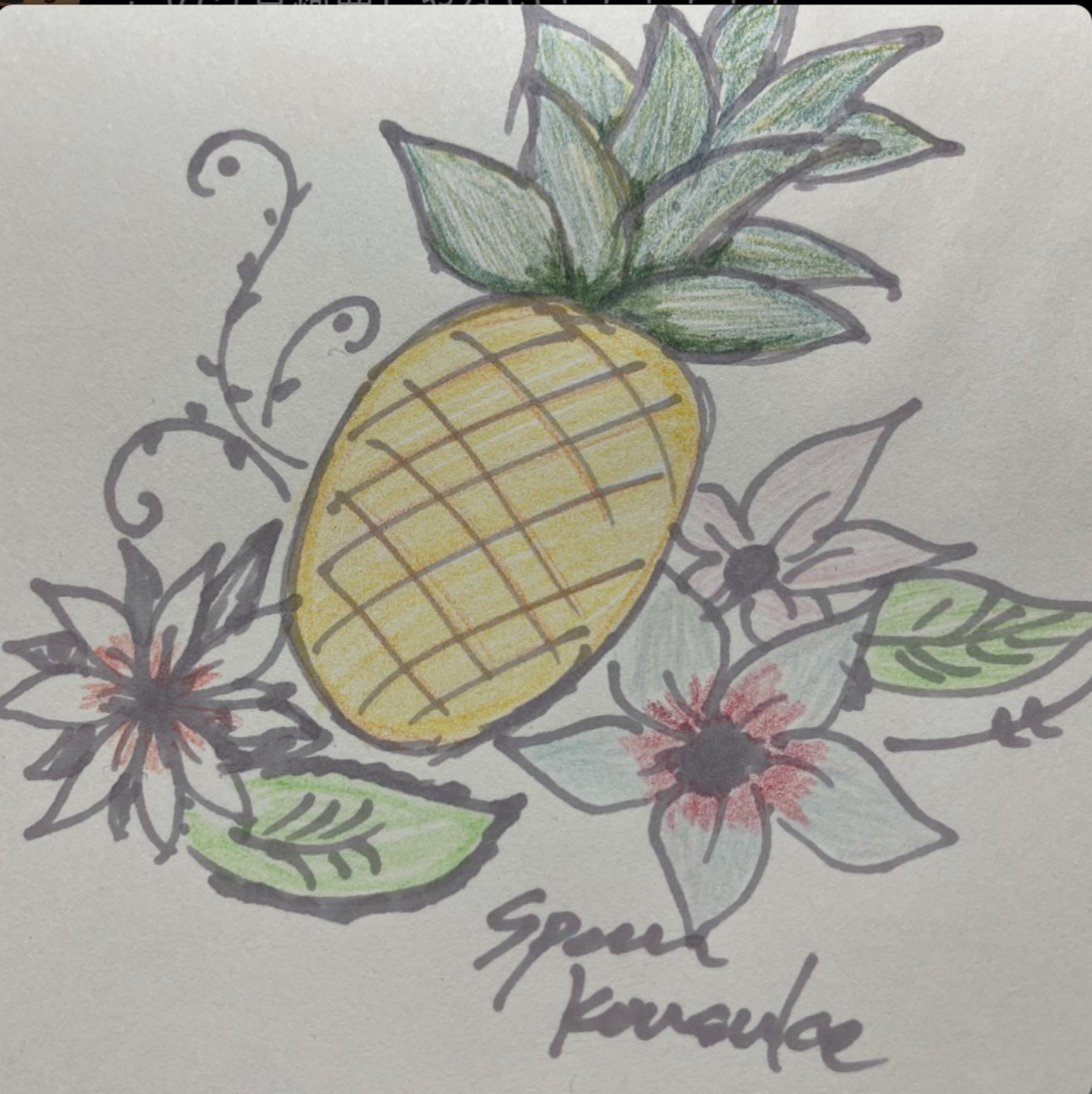 晃輔 - kousuke - 🍍