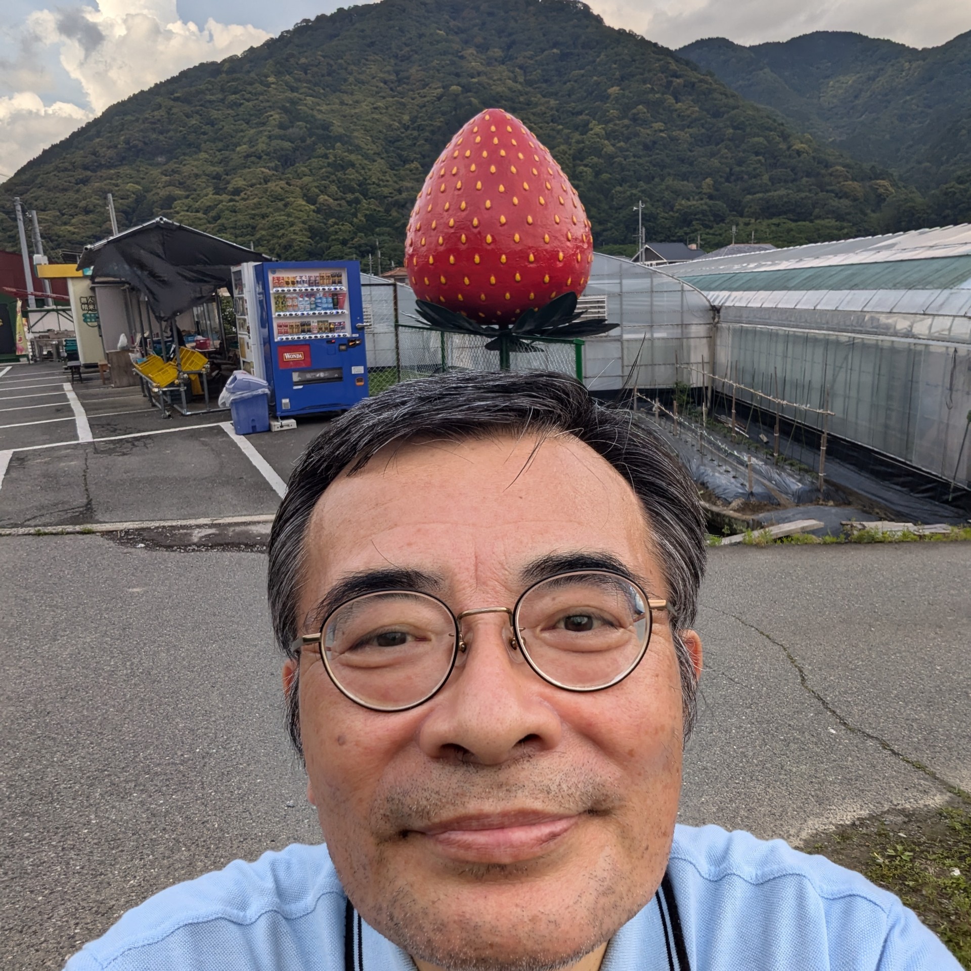 ほつかぶり真ちゃん