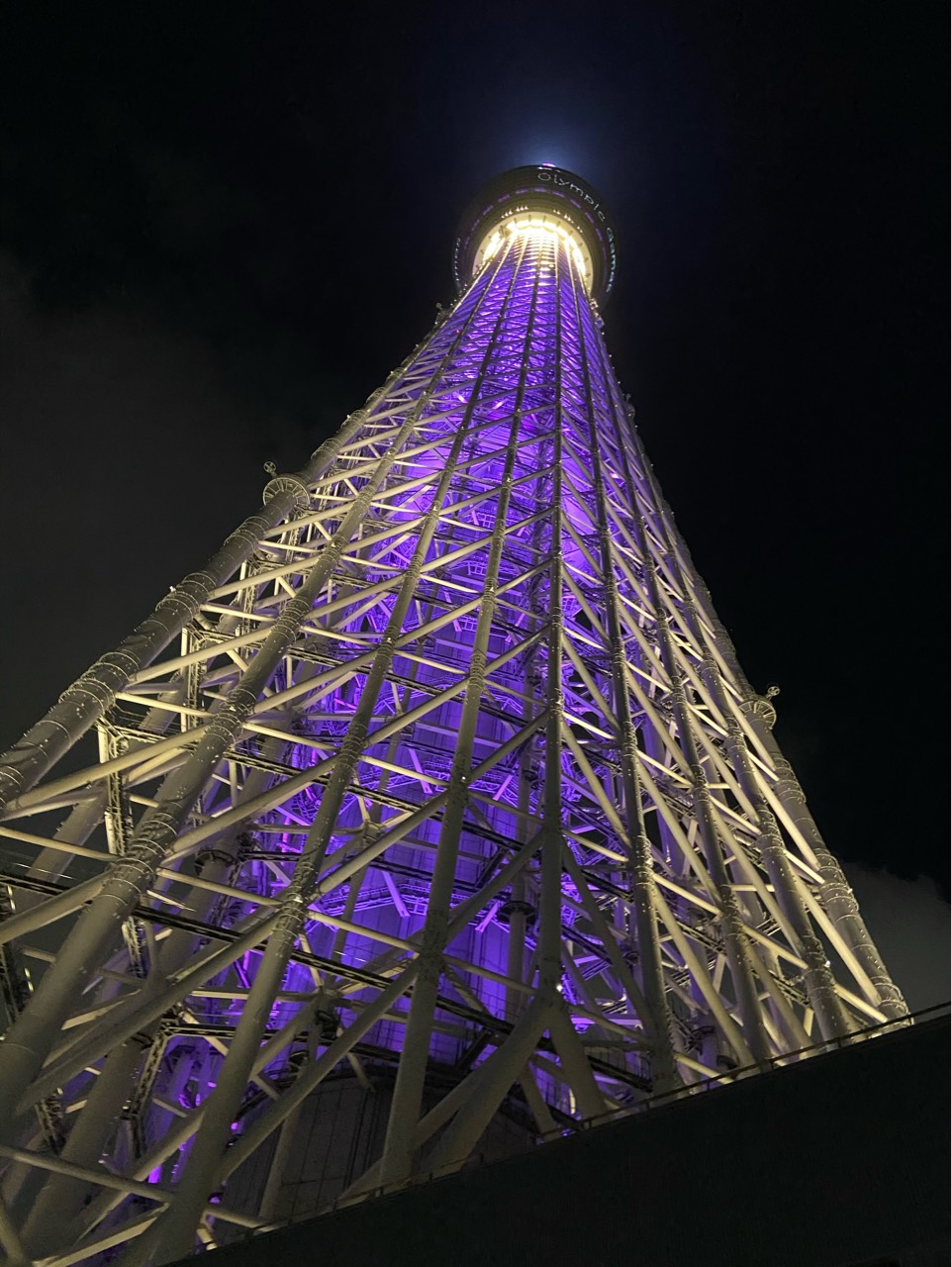 セイラ 1週間ぐらい療養