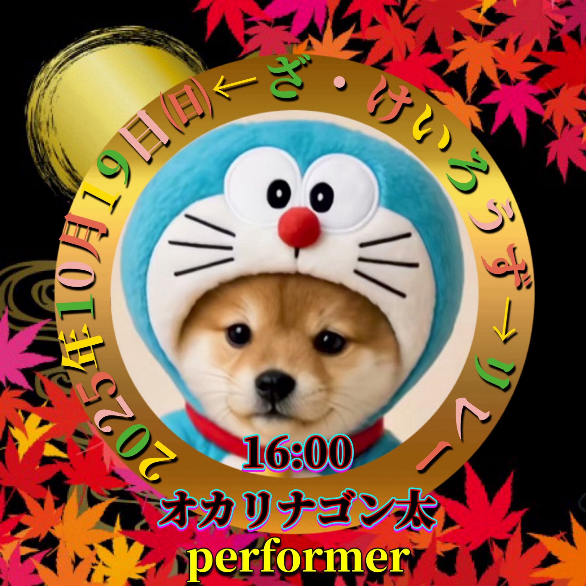 ʚ🐶ɞオカリナゴン太