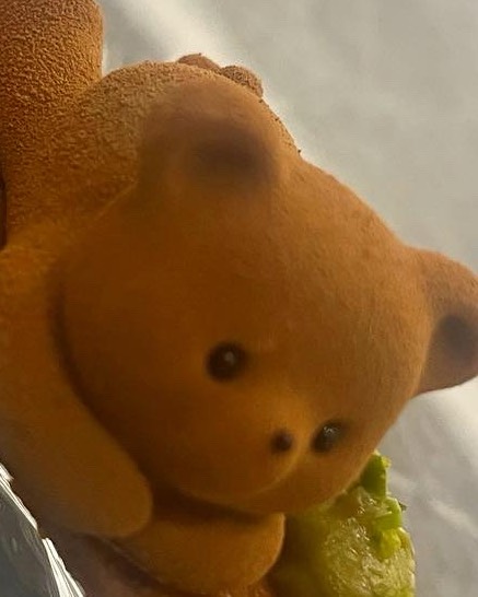 サトシタウンにはマサラが