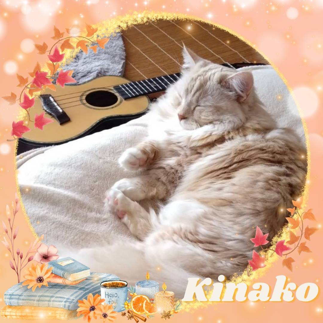 🫧𝓚☘︎︎きなこ⁎✧⡱