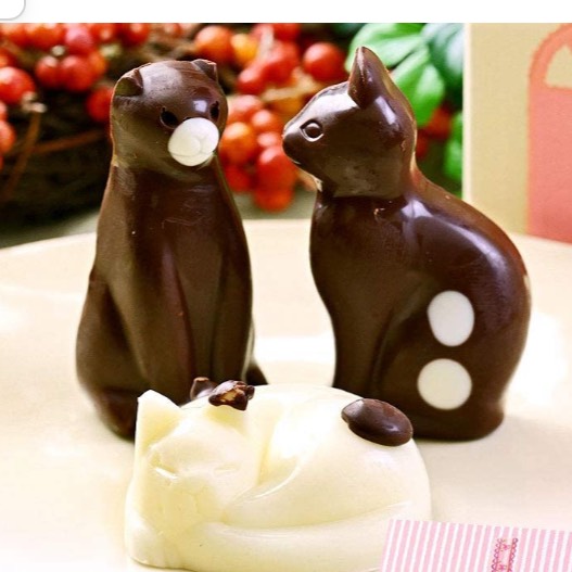 ð¥æ¡à»ê±åÊâ¢áŽ¥â¢Êð§â¡ïž