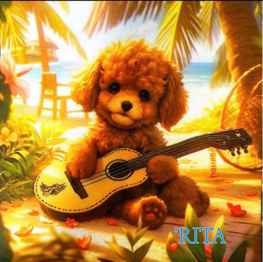 ′RITA  🦖⸒⸒