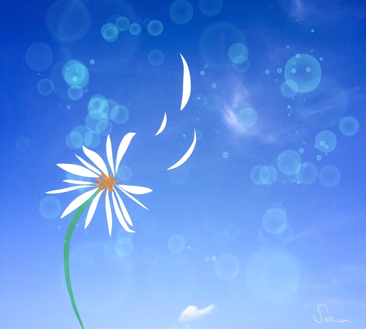 ソ ラ ウ ミ🌌🎵🍊✩.*˚