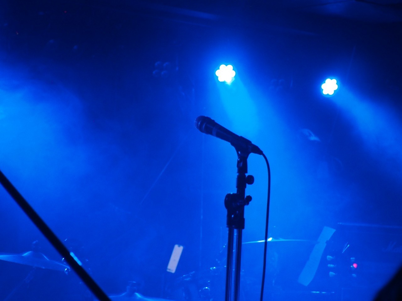 😴さーこたん🐨🌈