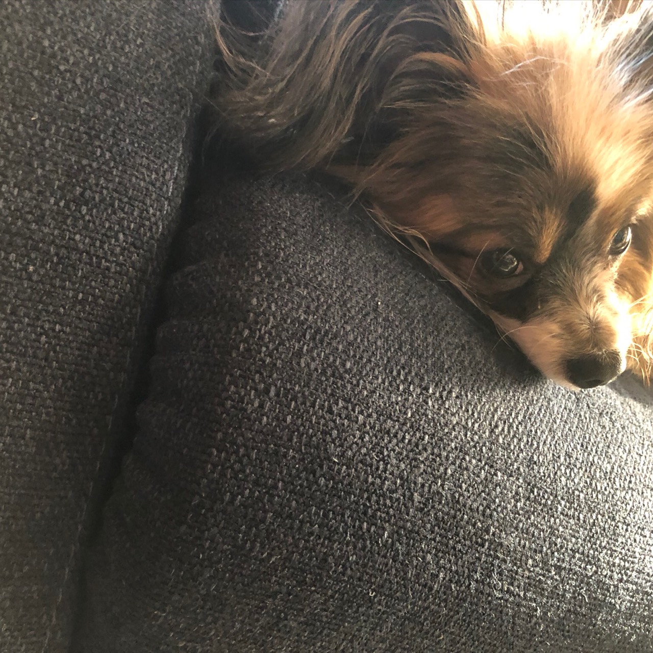 🌿🤪ちゃんけいʚïɞ❀*.ﾟ