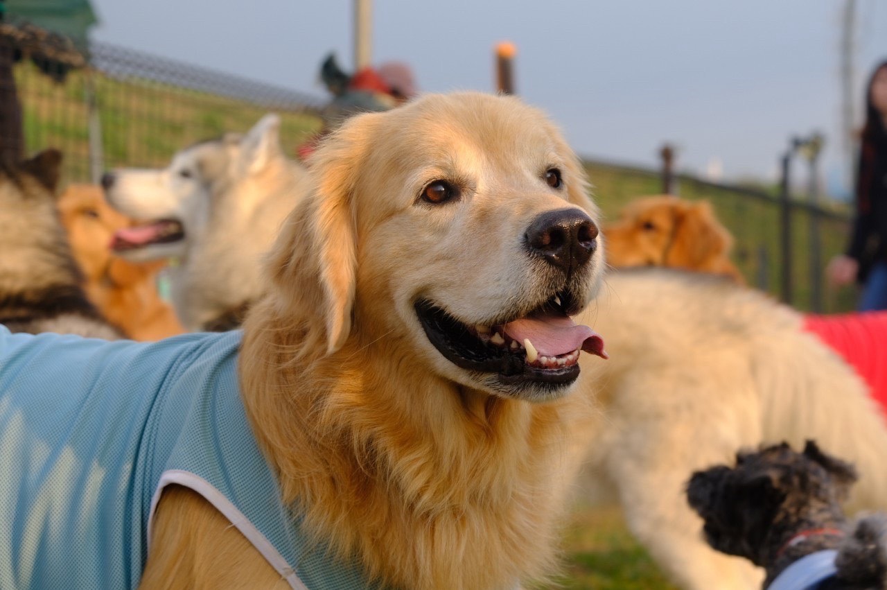 🦮みどり🍺🦷🍤🦷🐼🎸