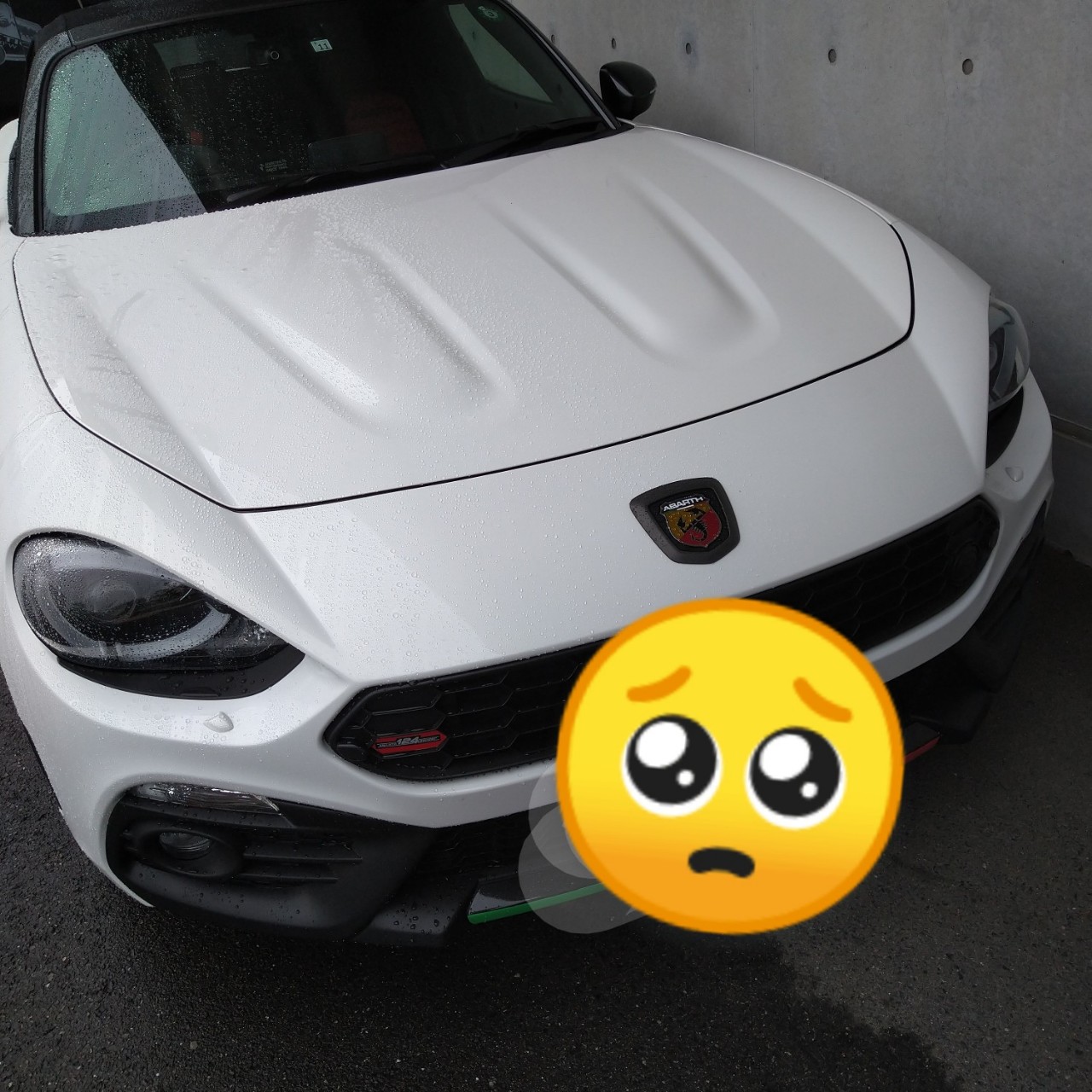 ☪*✞✟転生毒鬼ちゃパピッ٩(ˊᗜˋ*)