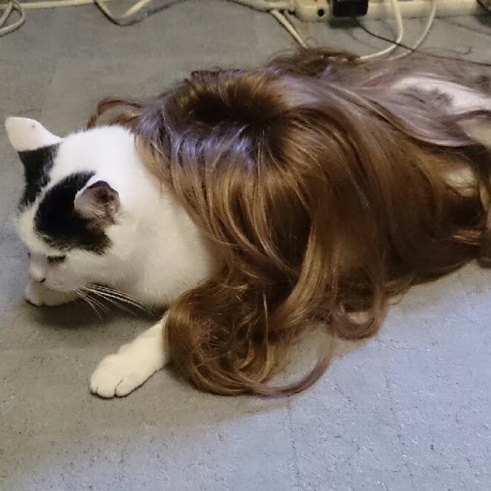 🌿シスコーン🌿V