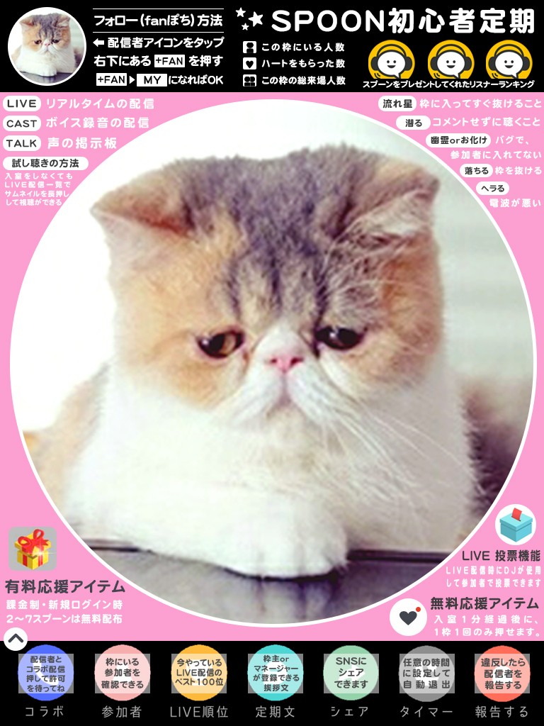 🐱✎mke(ミケ)꙳❅✧⋆̩*̣̩𓏲