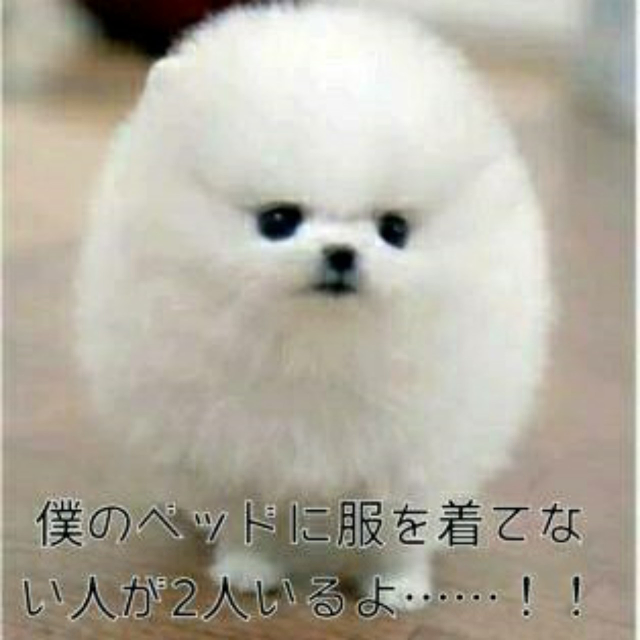 ❦ななʚ♡⃛ɞ☕*°♨️吉🐈