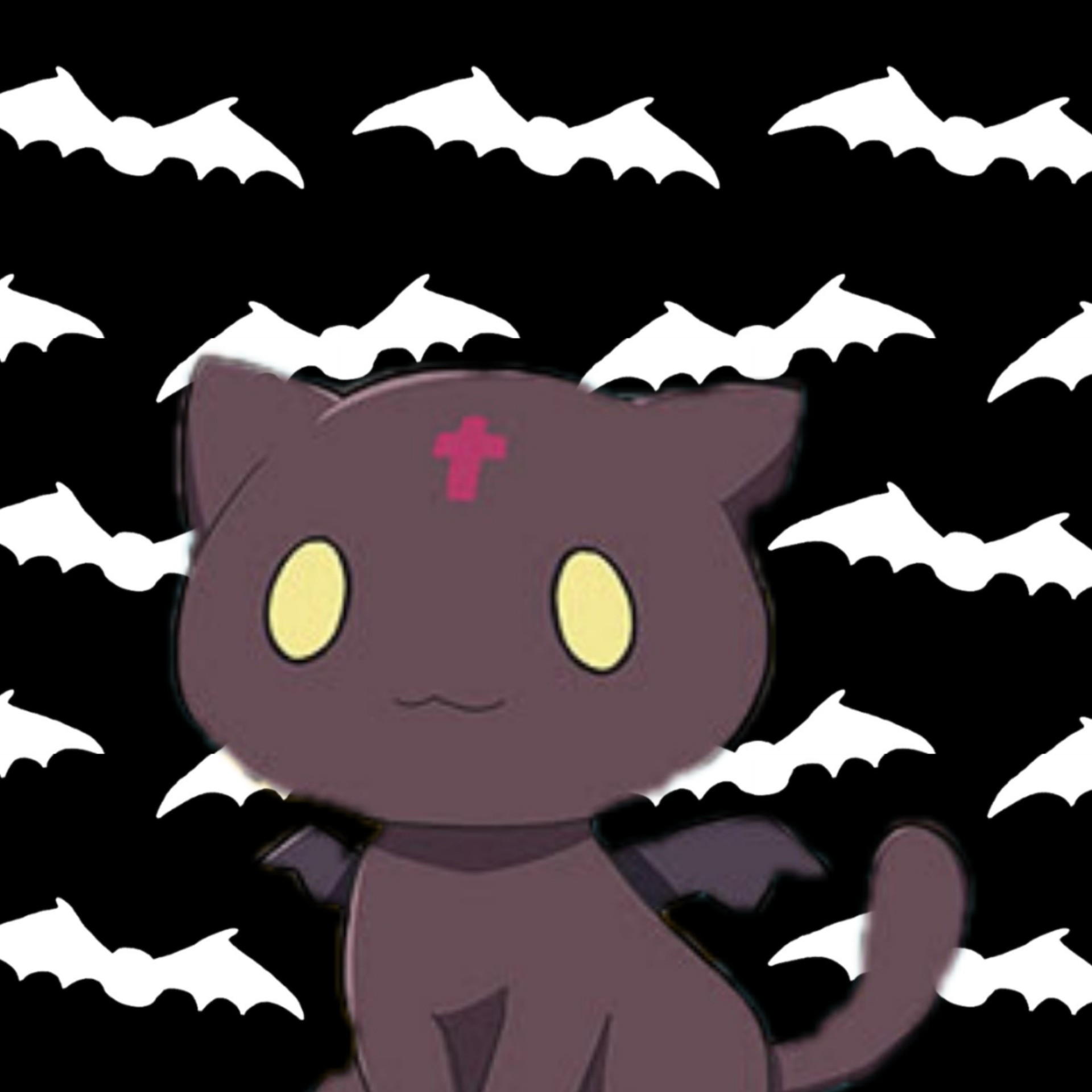 🐈‍⬛ちょむ‪‪‪