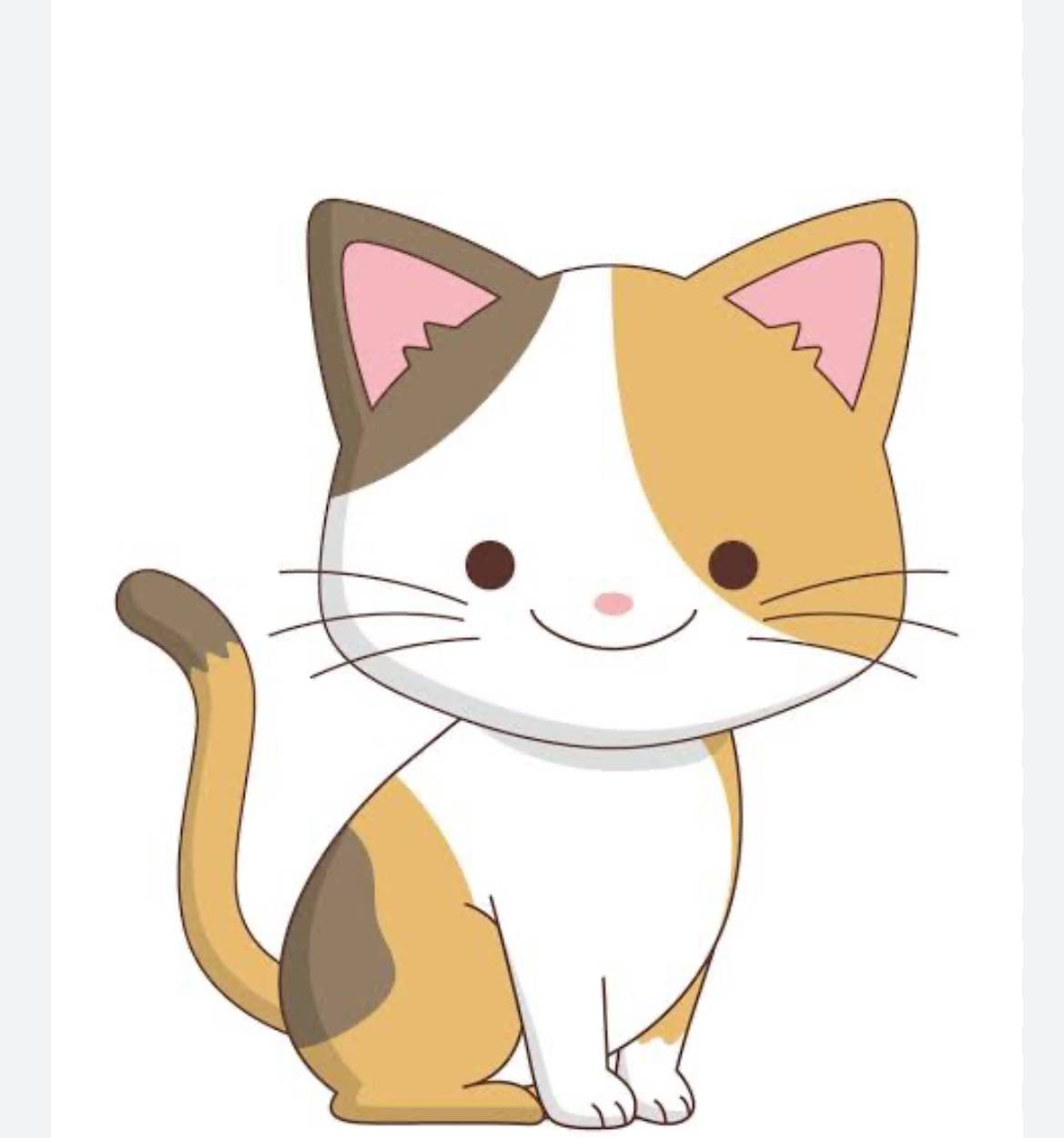 にゃんちゅ🐾🐾