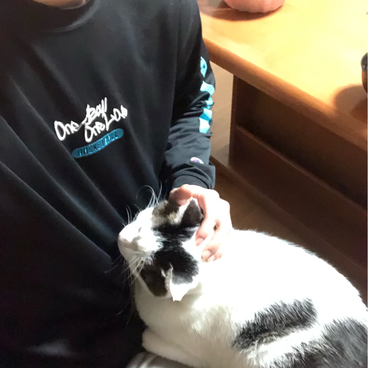 かしわき