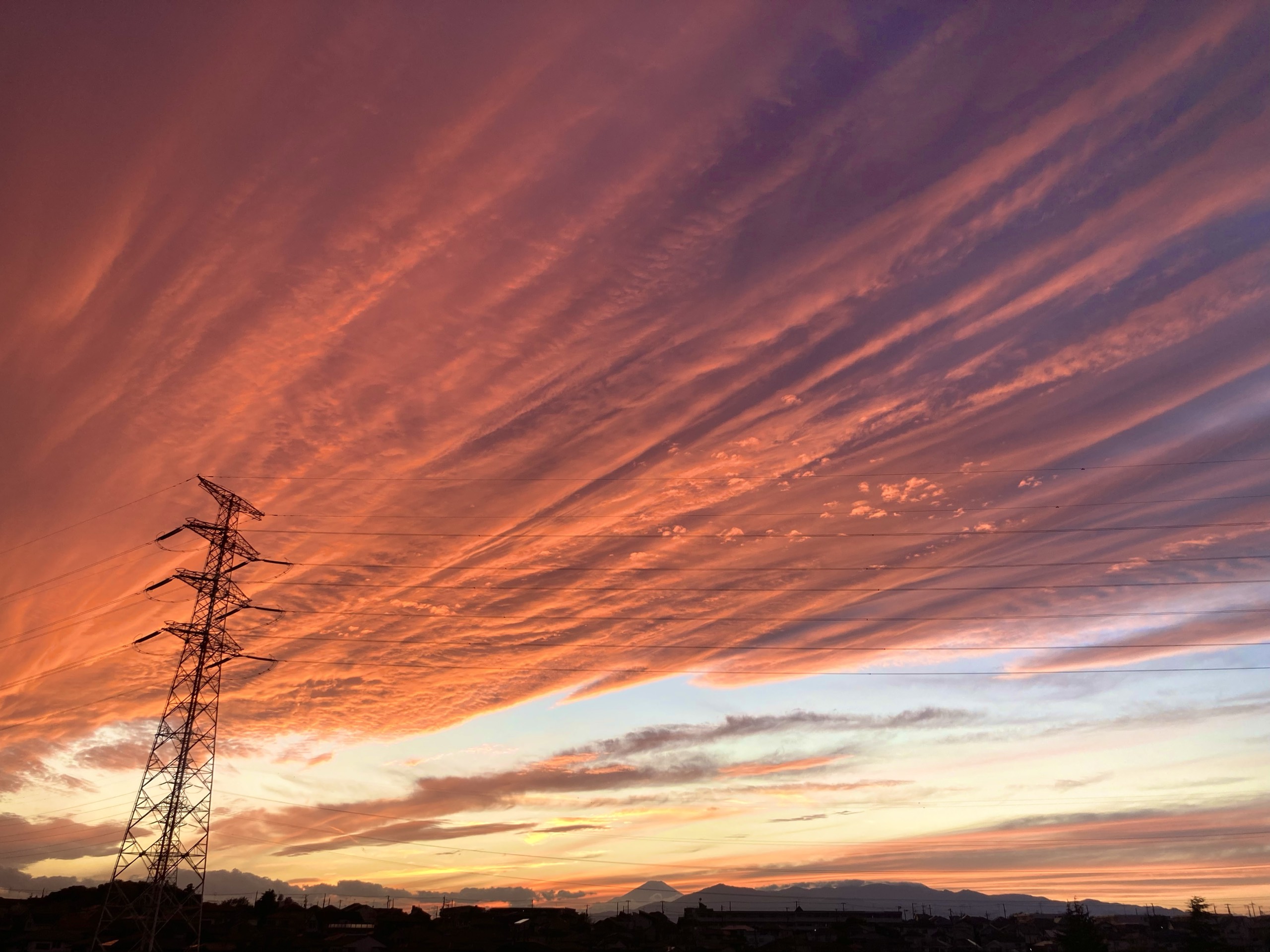 さとし.⋆𝜗𝜚🦽