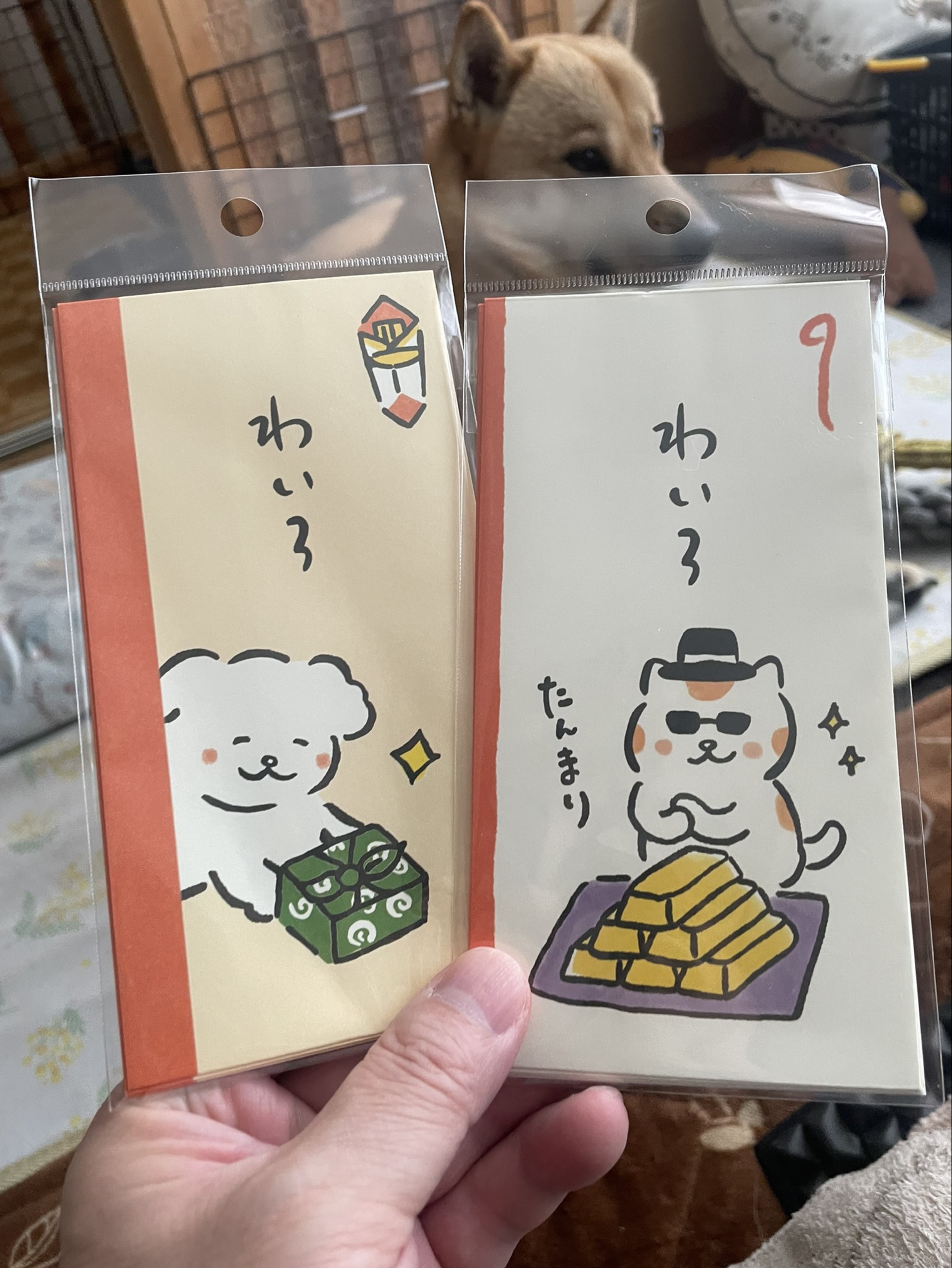 🎨すたろー@豊仙®【♯1111】酒⃝