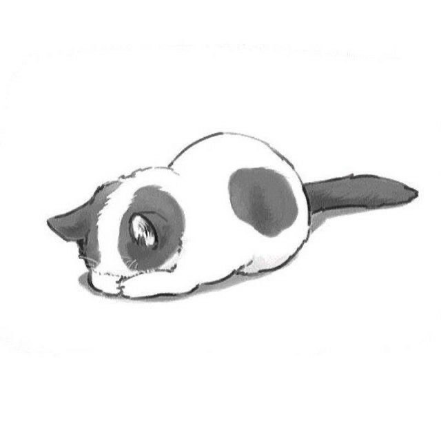 ねも。