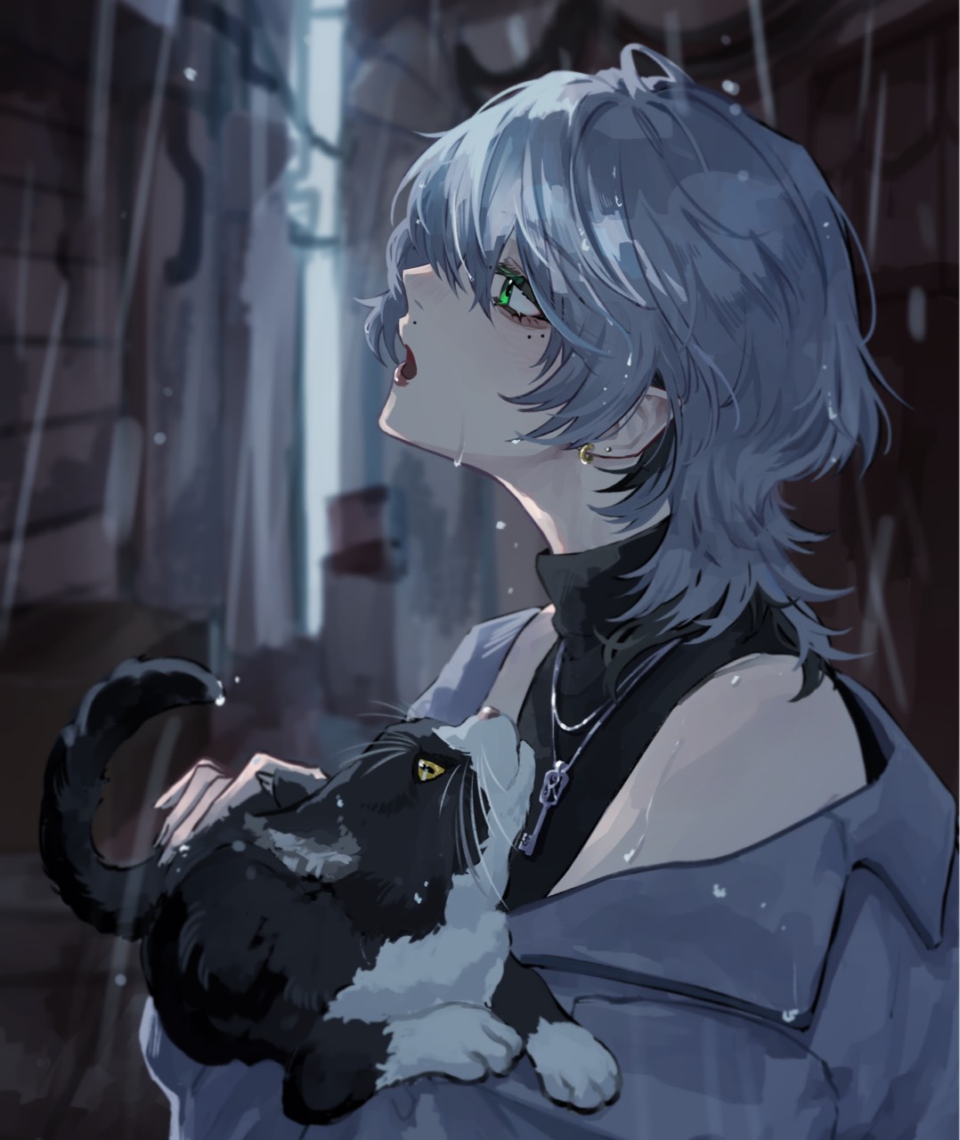 黒猫かぎしっぽ