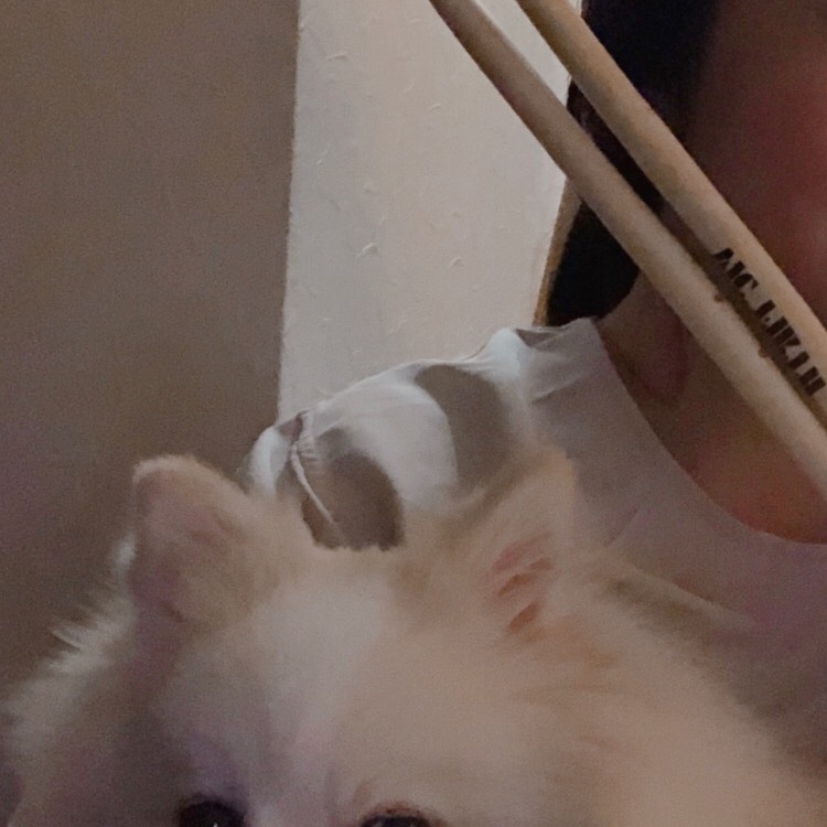 🔰割烹着ドラマー🥁🔰sayu