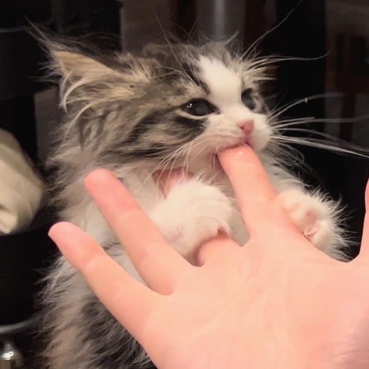 ☽