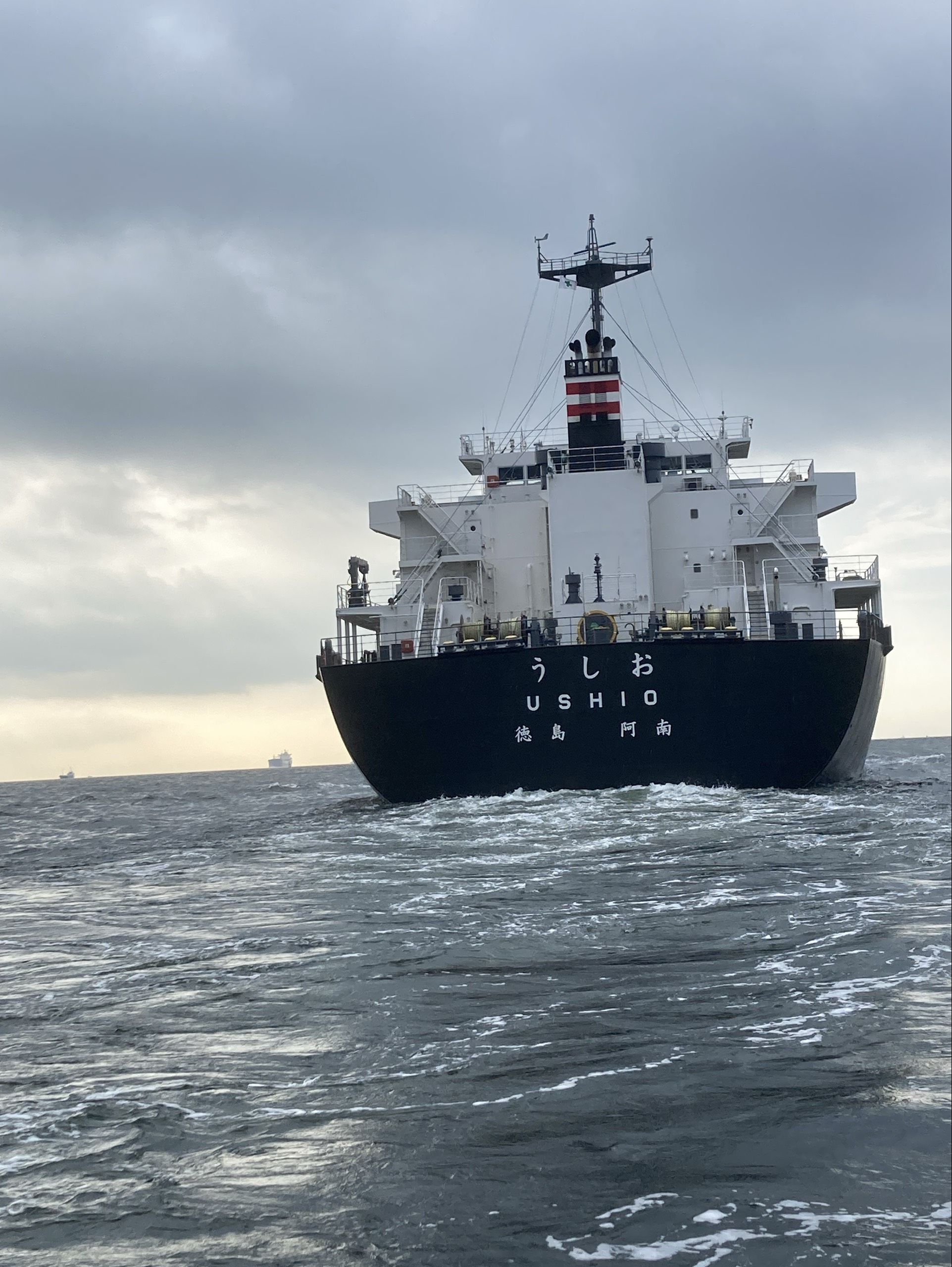 🏥釣り人🪣🎣