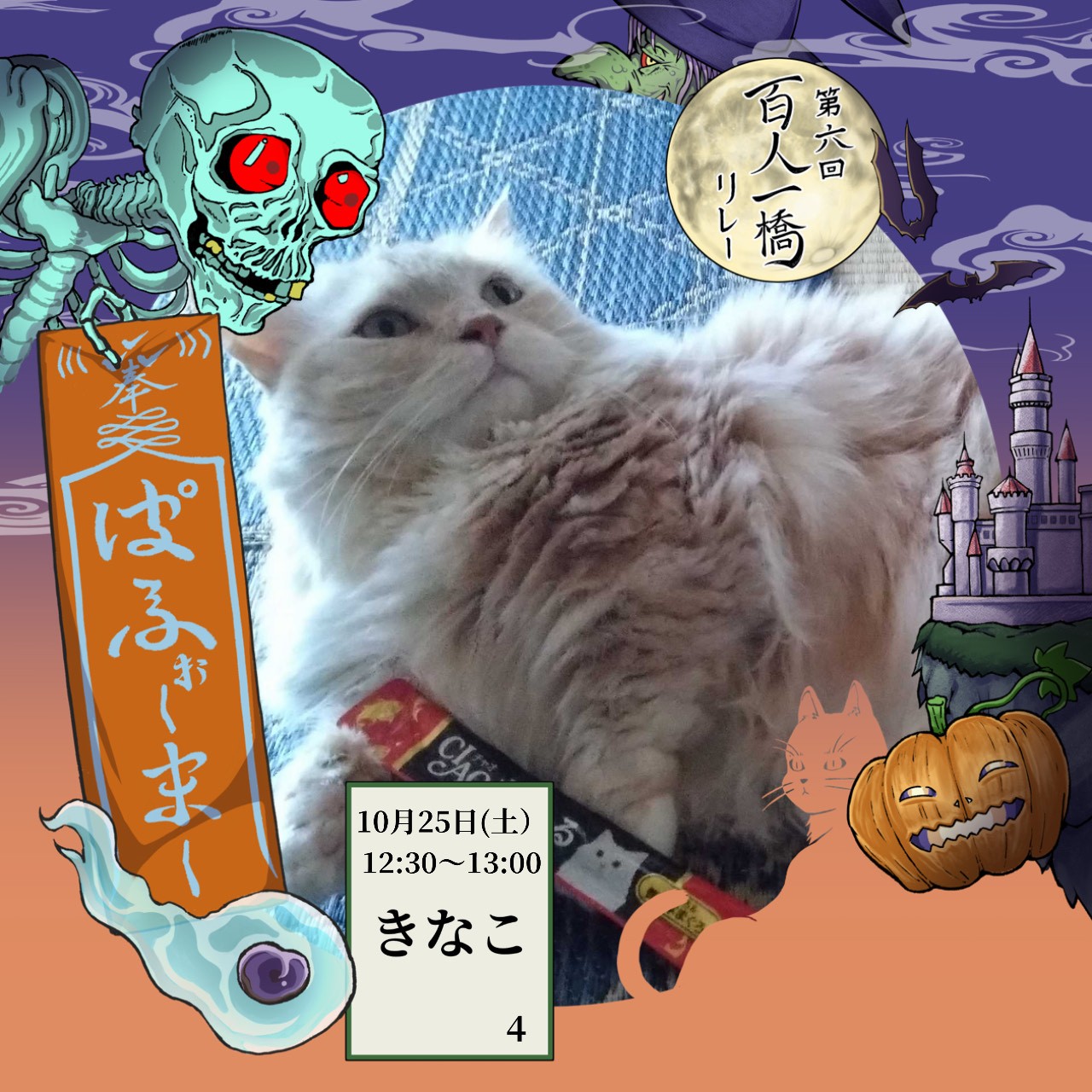 🫧𝓚☘︎︎きなこ⁎✧⡱