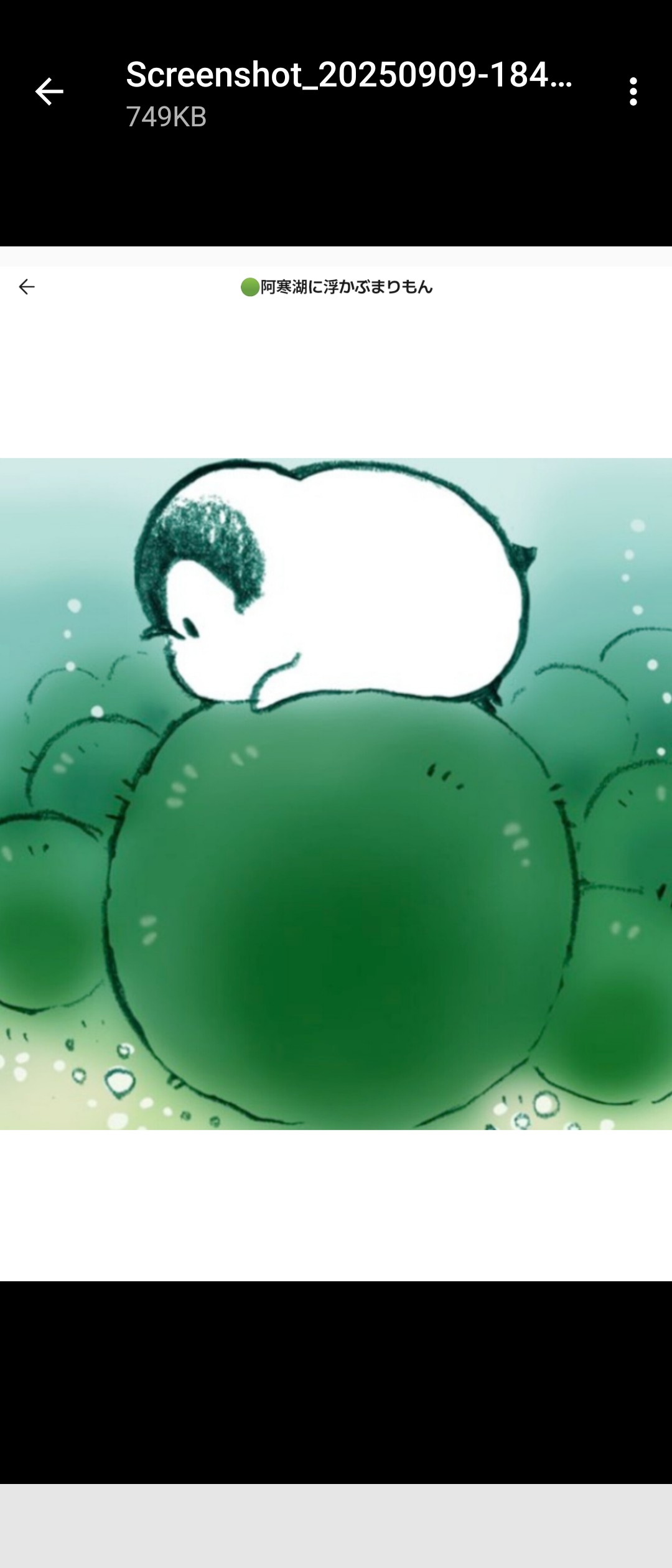 🟢阿寒湖に浮かぶまりもん