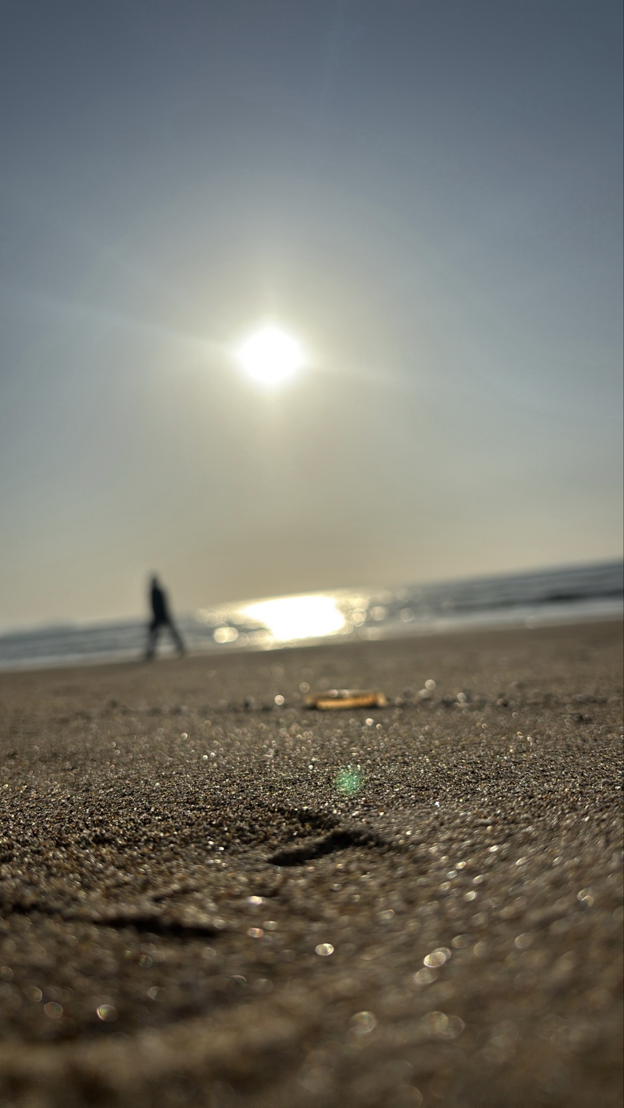 鯖鯖な鯖ーマイトな煉獄