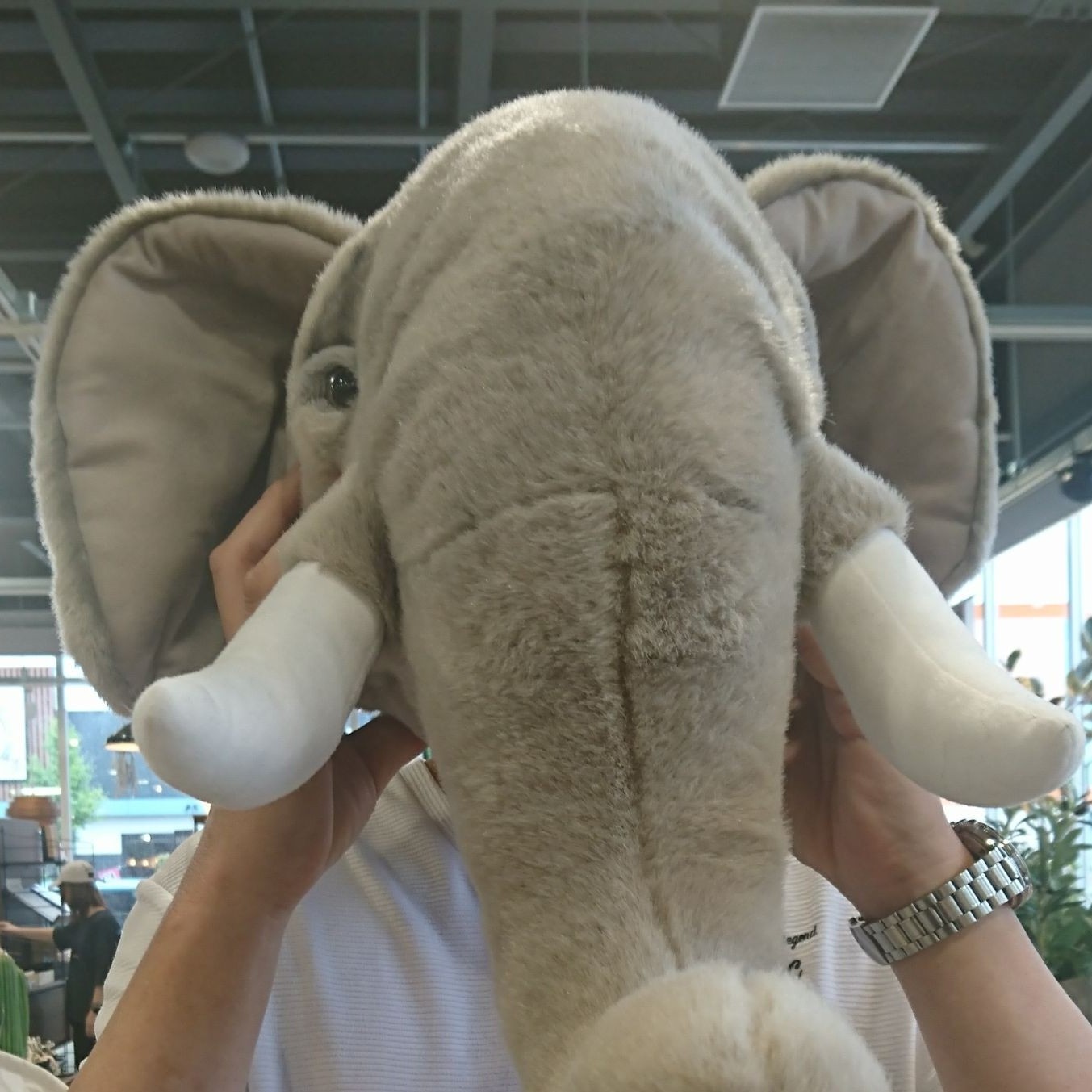 ᗱ᧒ᦲ (仕事潜)