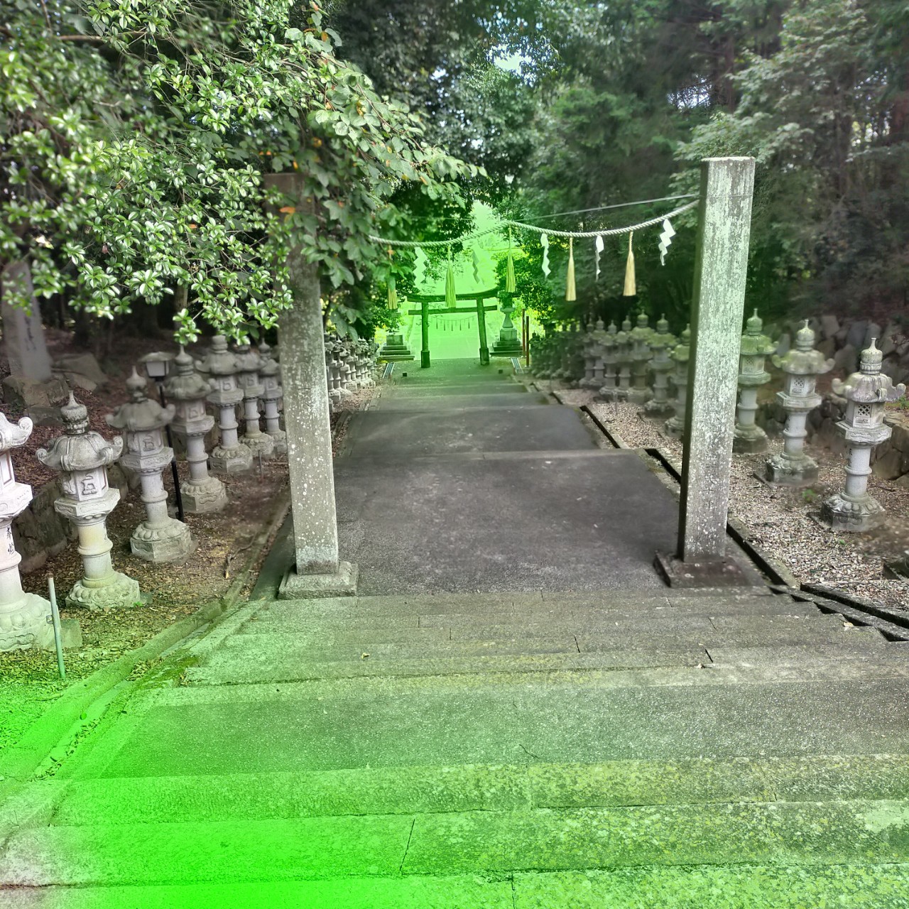 ツヴァイ　楽しい不自由ライフ