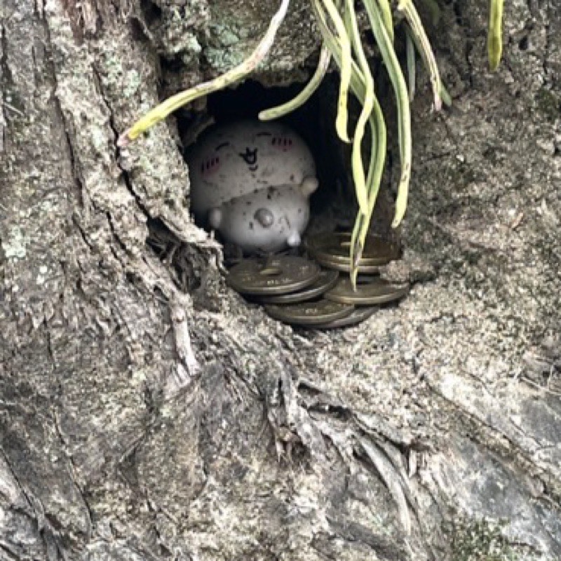 あいらいふぁー