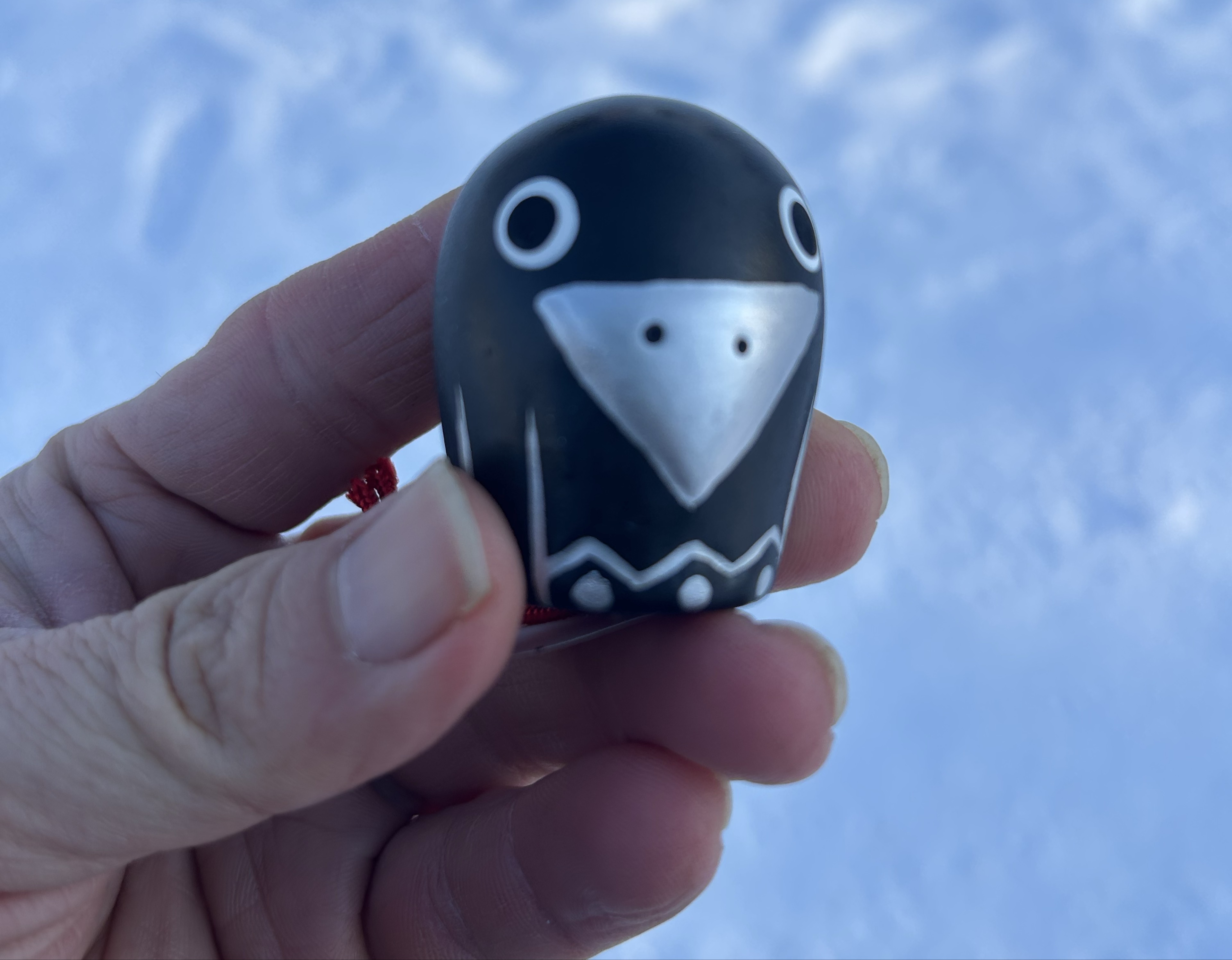 瞬間最大風速ハチ◌ ͙❁˚