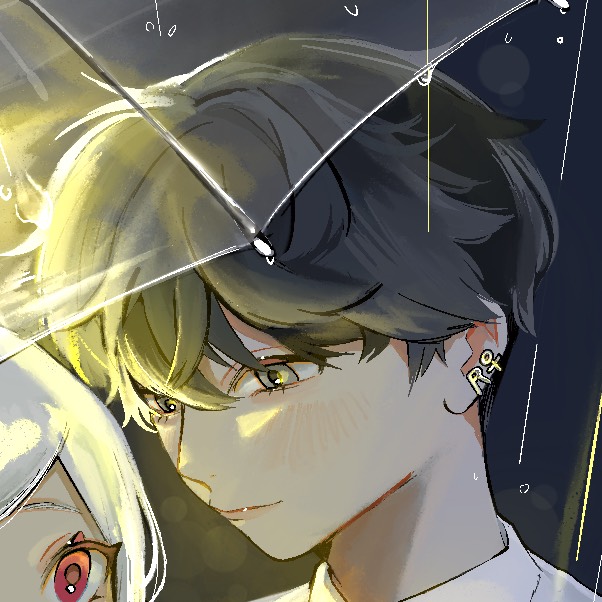 雨夜 ᴿ̰⚘