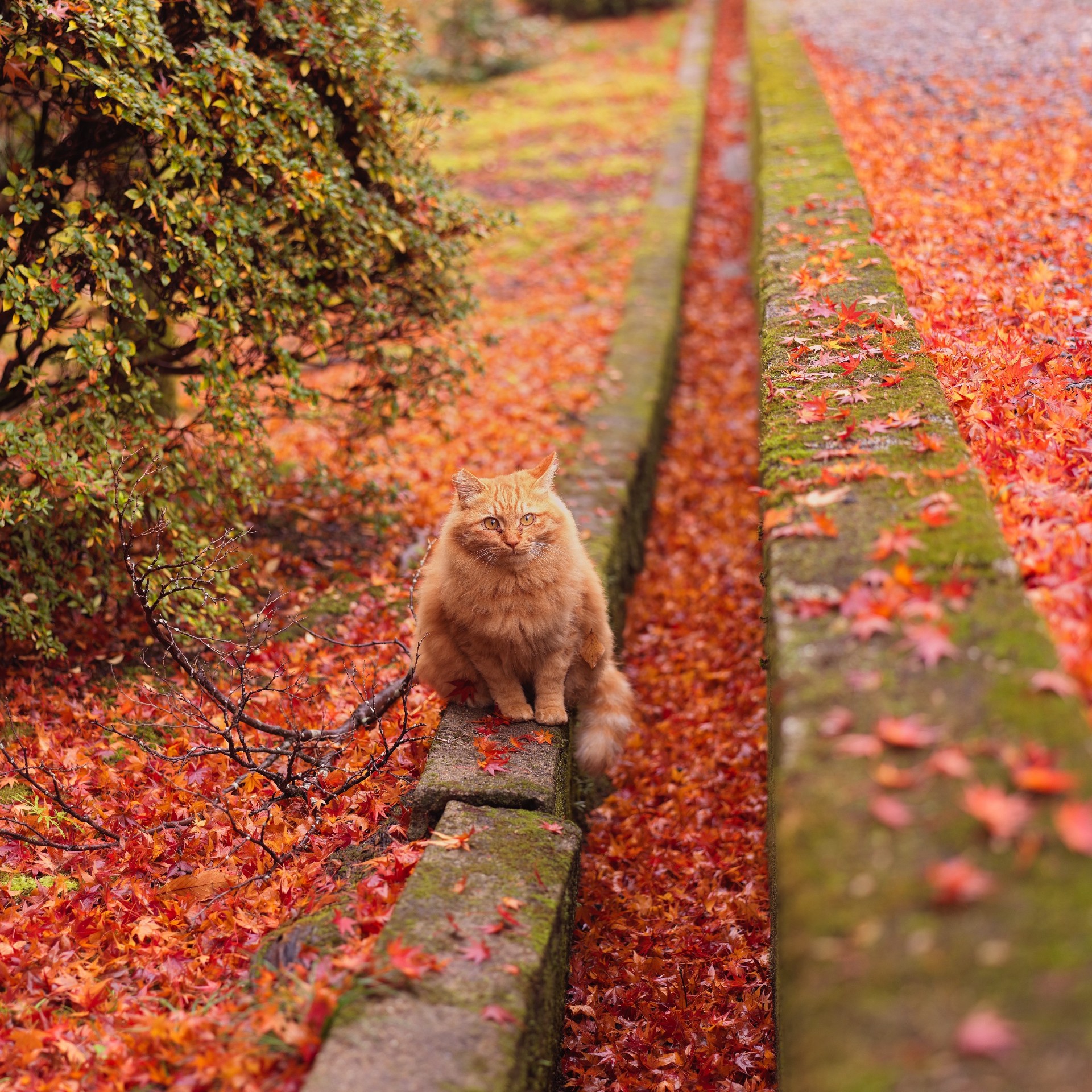 ラム 仕事（潜）🐋