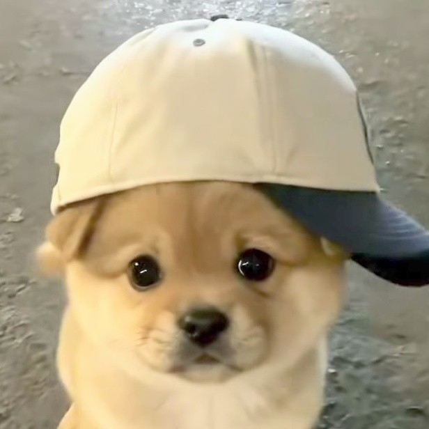 ʚ🐶ɞオカリナゴン太