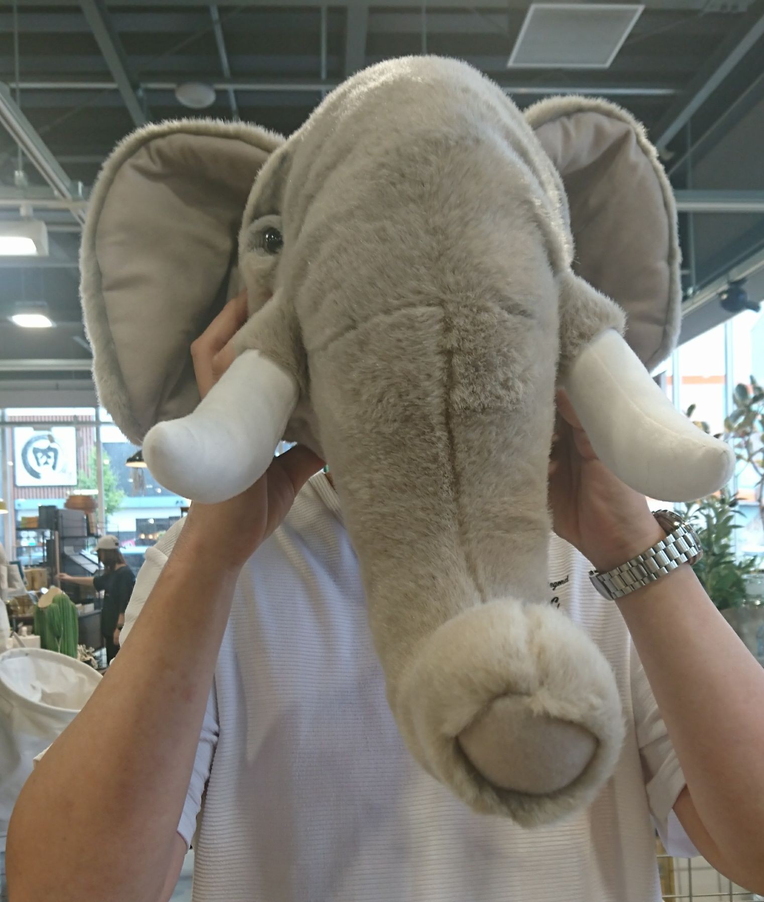 ᗱ᧒ᦲ(仕事潜)