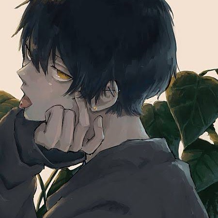たちばなだよ