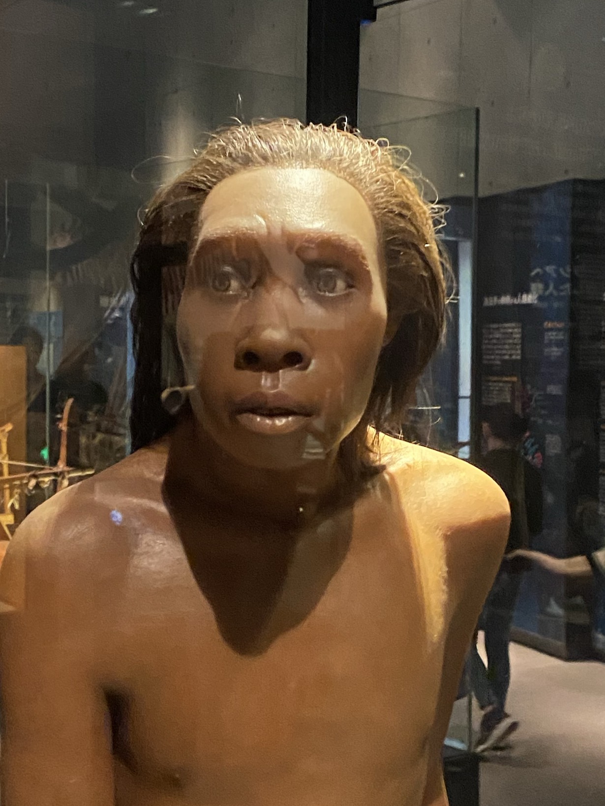 きーぼう(圧倒的初見)