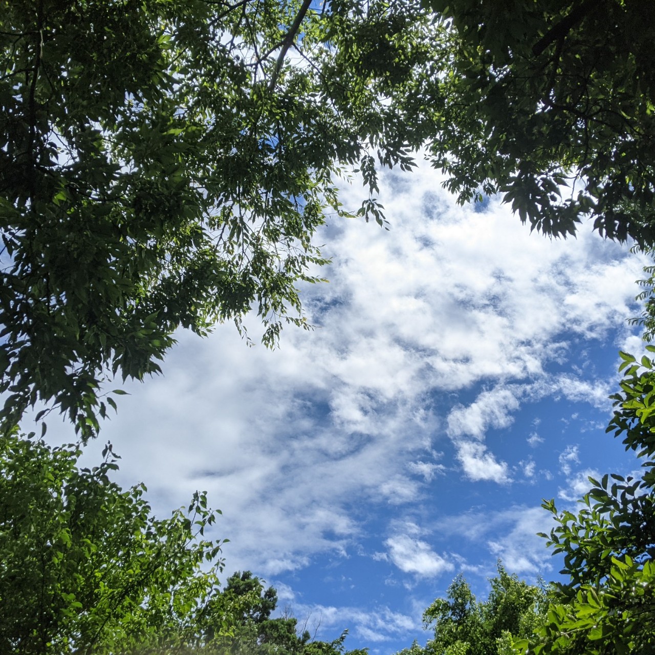 ✝️国峰 綺人@両声類(26歳)📡