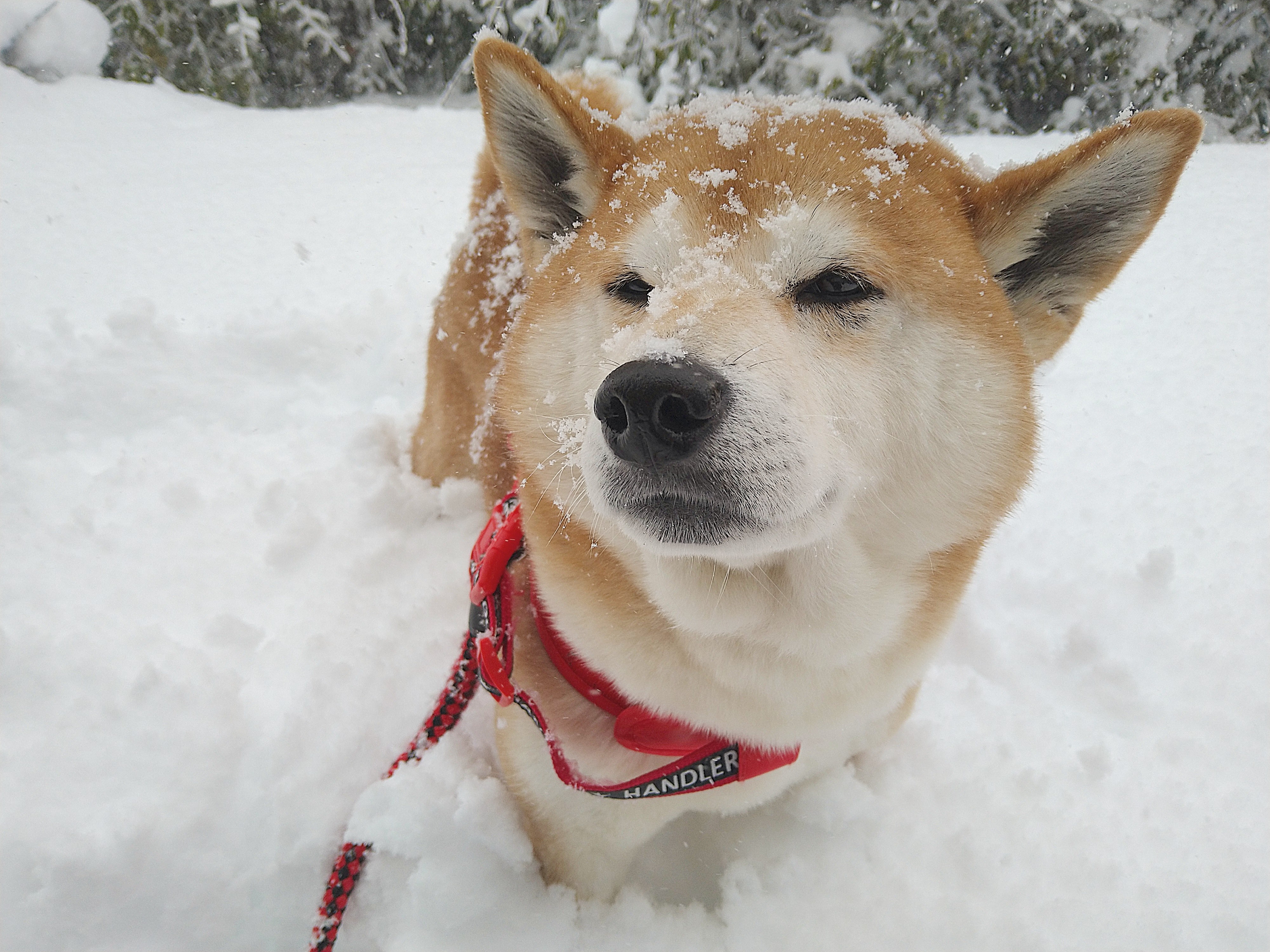 ð§ââïžðªž-ïŸ
-âââ
*