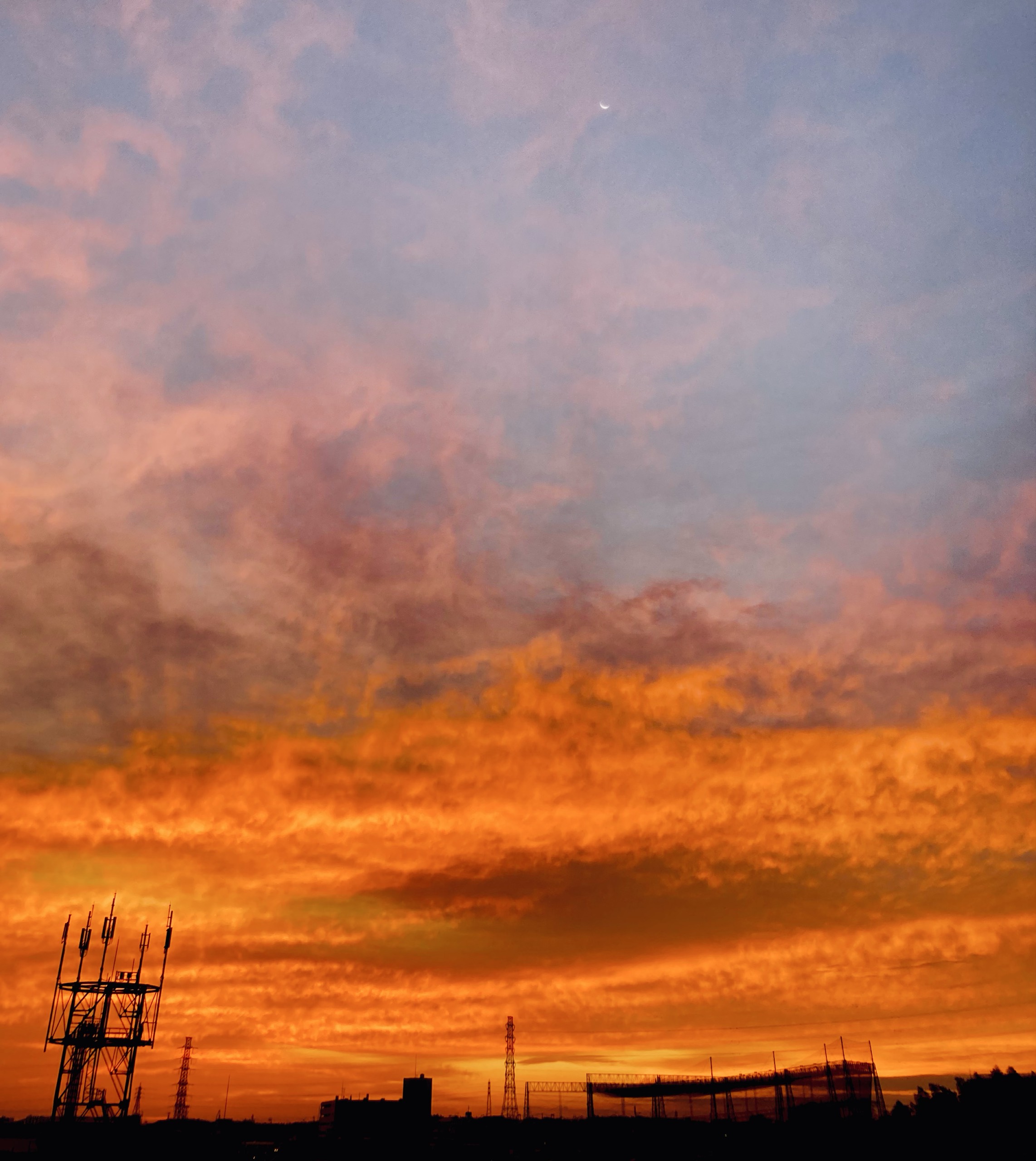 ᵒ*♡ᵃさとし.⋆𝜗𝜚🦽🌸