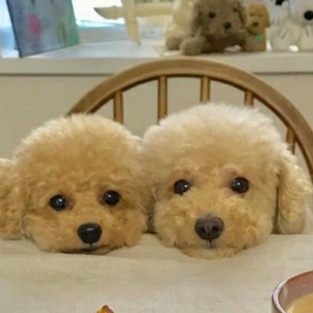 チェリまるまる