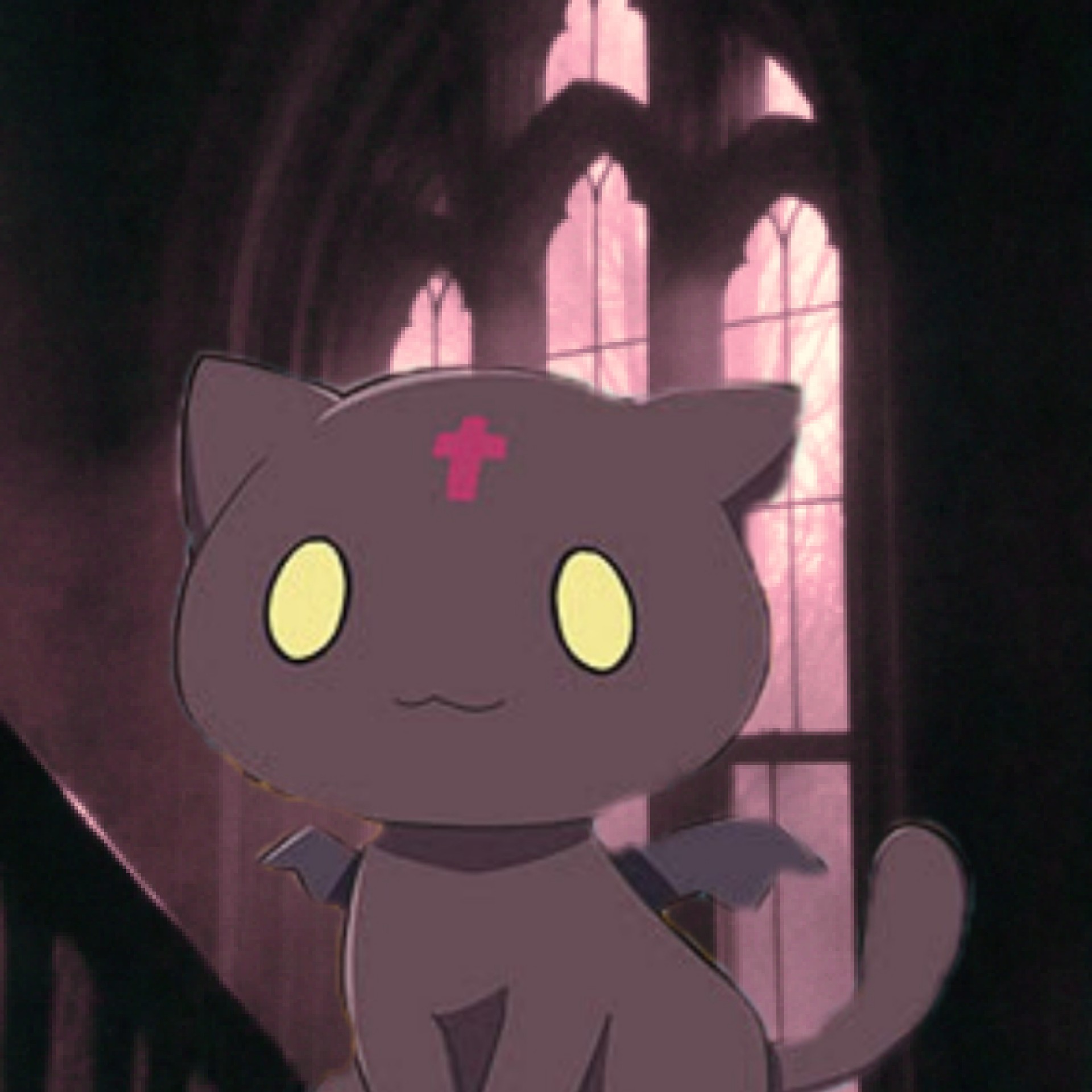 🐈‍⬛ちょむ‪‪‪