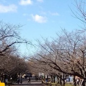 夢旅人(たびとん)