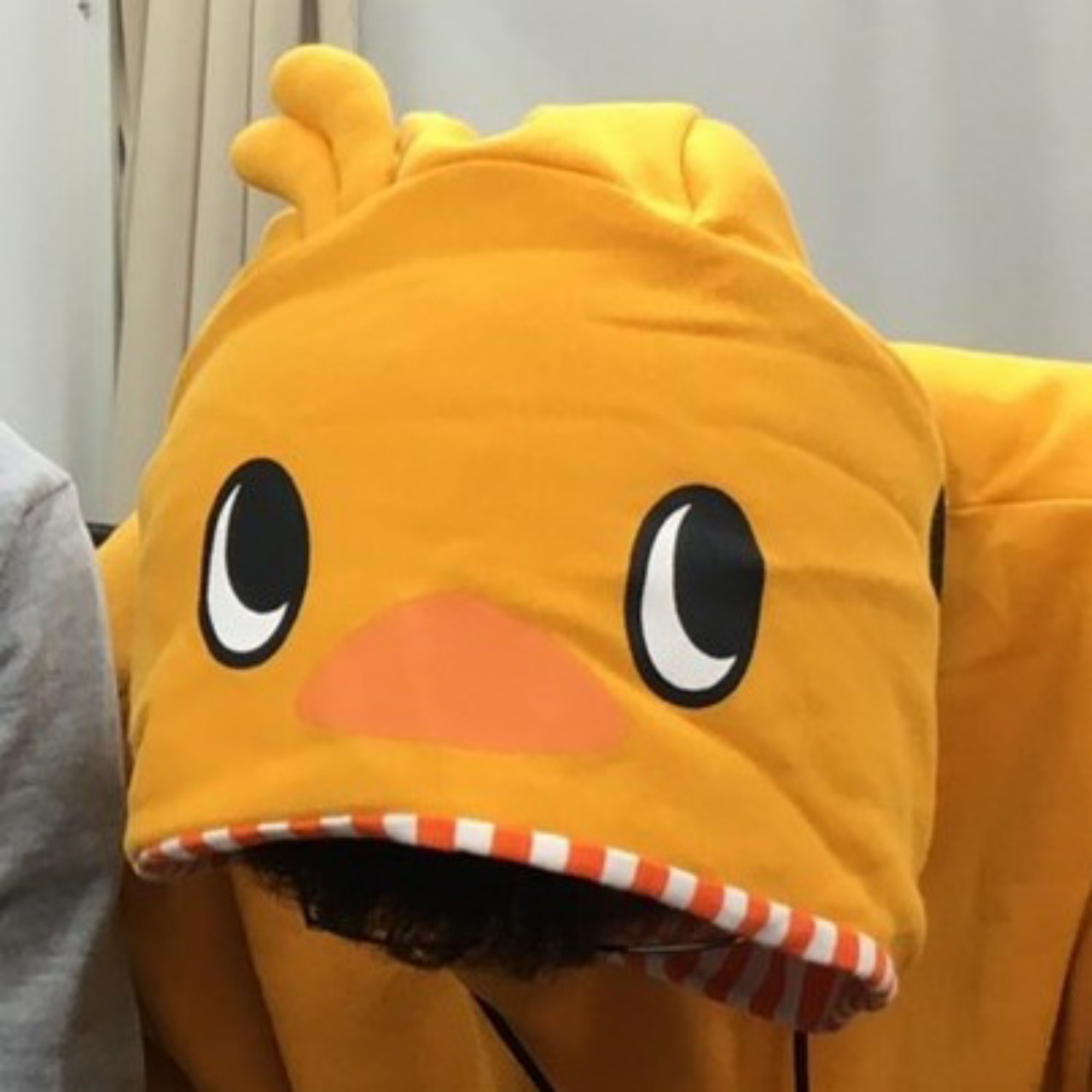 ふむ//にろらじっ！