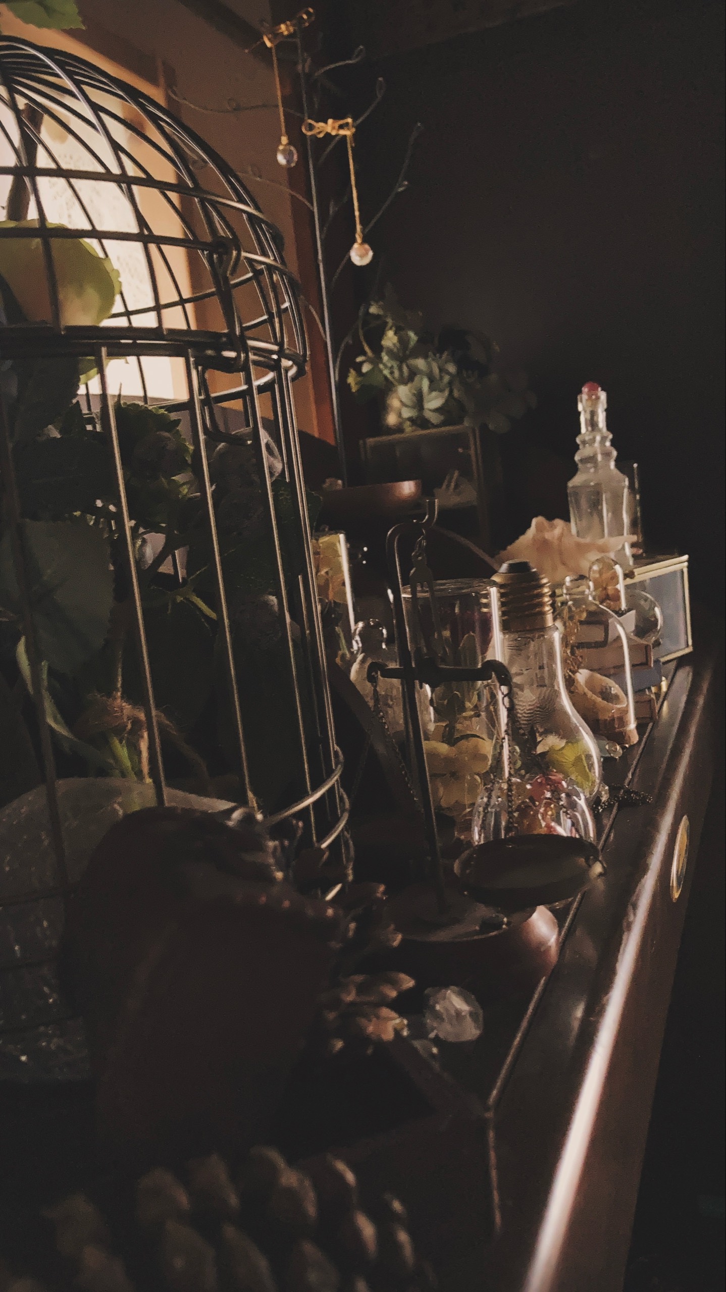 jituོ。𖤣𖥧師走のいい蚊𖤣𖥧𝑺₆