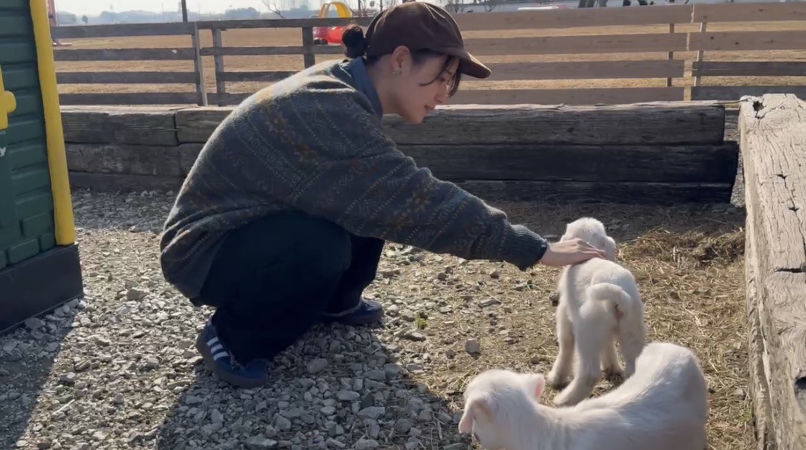 秒針♬︎.*·̩͙