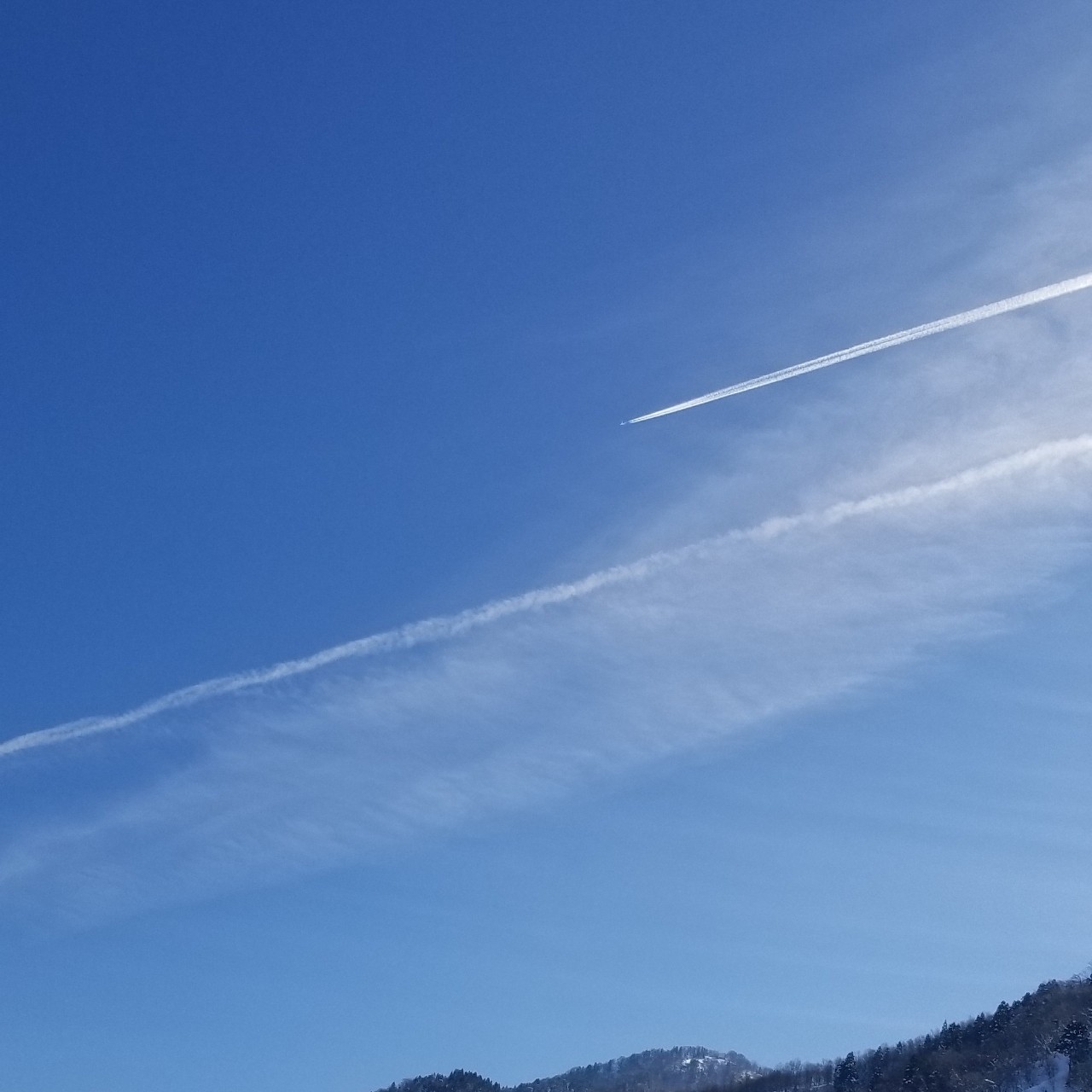 モノクロ♘♞༄⚤🍛